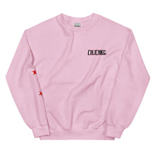 Load image into Gallery viewer, Main logo sweatshirt 2.B